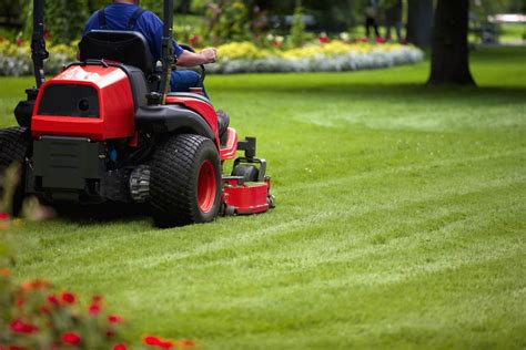 Lawn Care or Landscaping Business