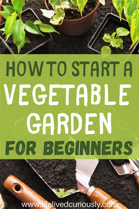 Starting a Vegetable Garden from Scratch A Full Guide Gardening Tips