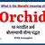 how to take a career break meaning in marathi of orchid
