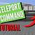 how to teleport in minecraft server