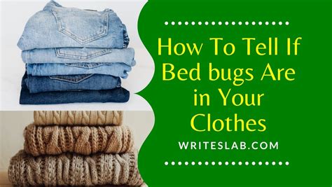 How To Spot A Bed Bug