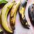 how to tell when plantains are bad