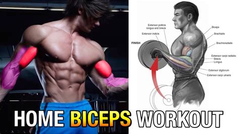 Bodyweight Bicep Exercises Without Equipment (Weights OR Pull Up Bar