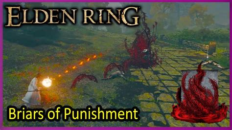 Briars of Punishment Gameplay Elden Ring YouTube
