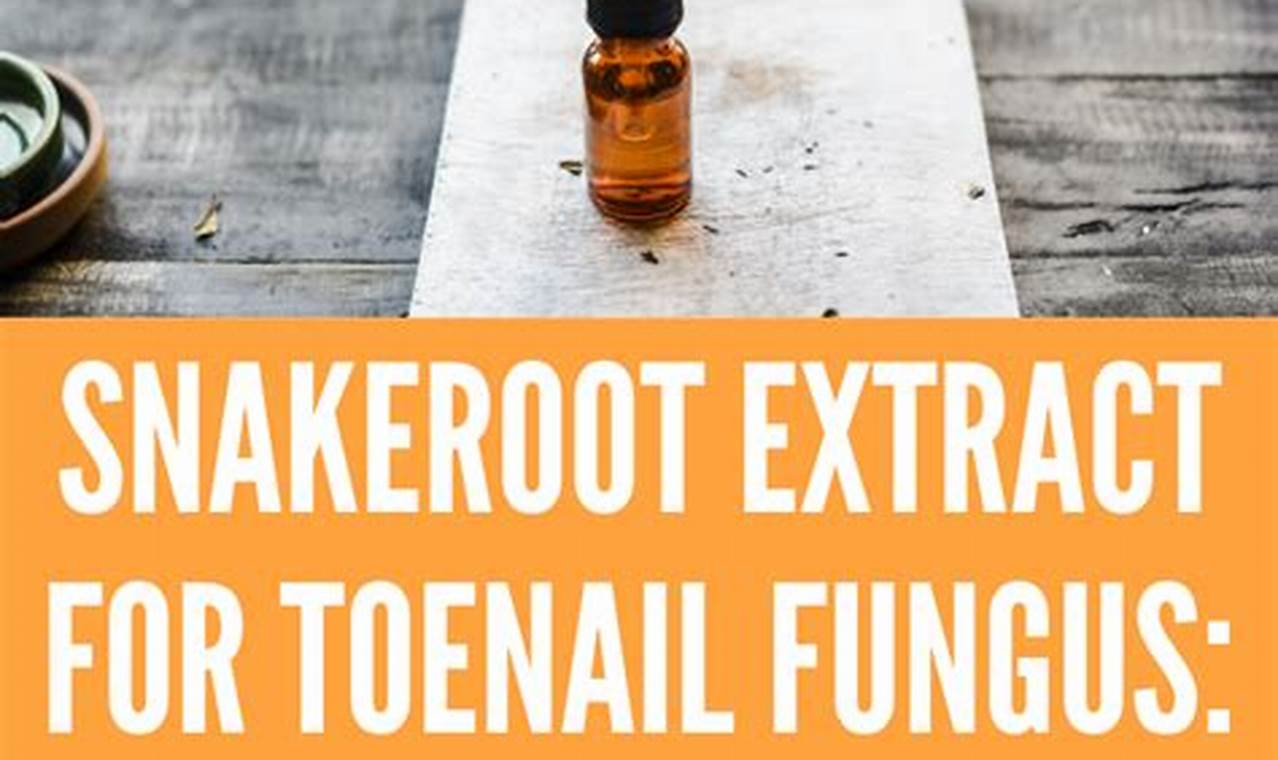 How to Use Snakeroot Extract for Toenail Fungus