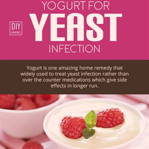 Yogurt for Yeast Infection Learn How And Why ! Yeast infection cure