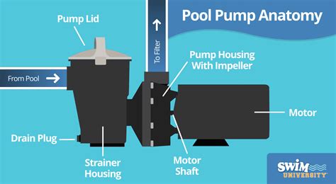 How A Pool Pump Works