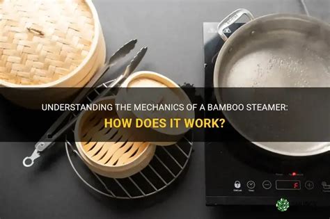 How A Steamer Works