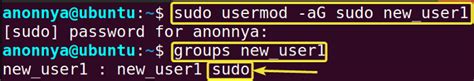 how add user to sudo group