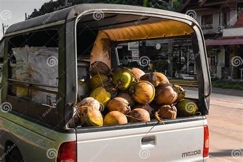 How Are Coconuts Transported