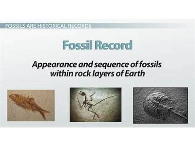 How Are Fossils Used To Study Climate