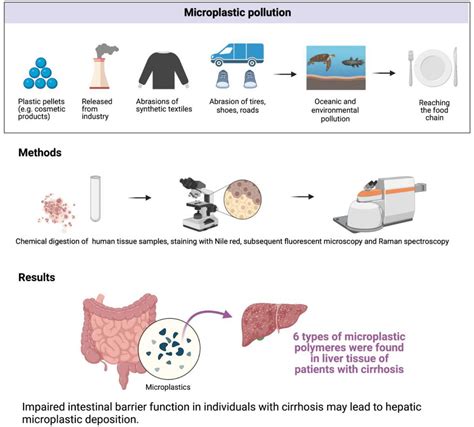 How Are Microplastics Detected