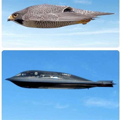 How Are Planes Designed