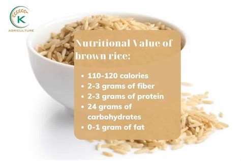 How Are Rice Good For You
