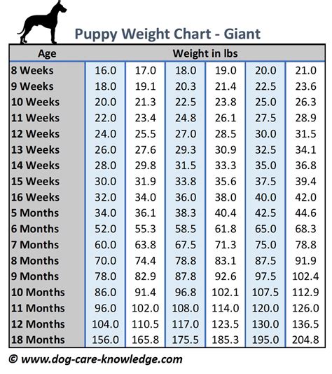 how big will my puppy get