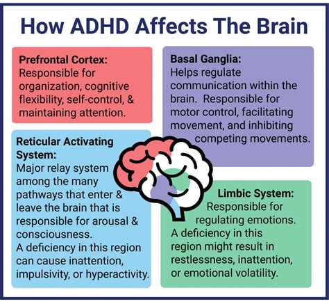 how can adhd affect a child's development