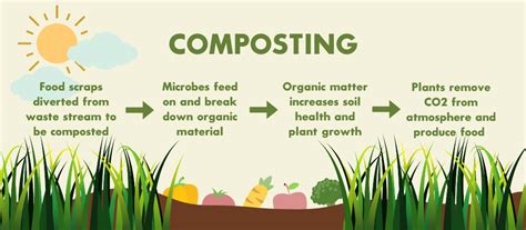 How Can Composting Help The Environment