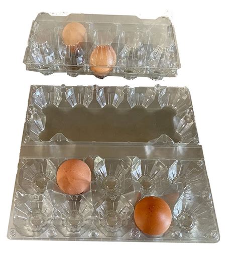 How Can Empty Egg Containers Be Reused
