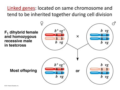 Can Genes Be Modified Actually Change Your Health