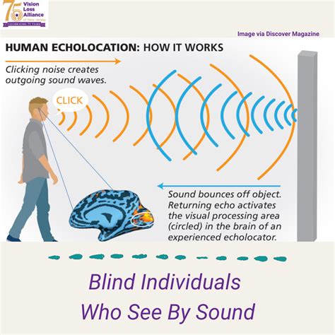 how can humans learn echolocation