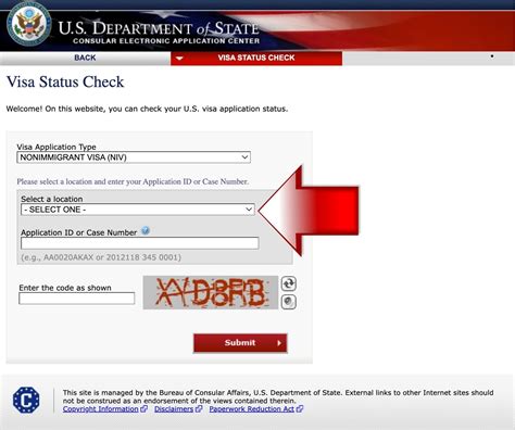 how can i check my visa application online