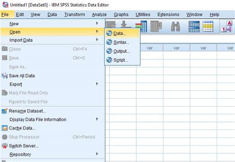 how can i import data from excel to spss
