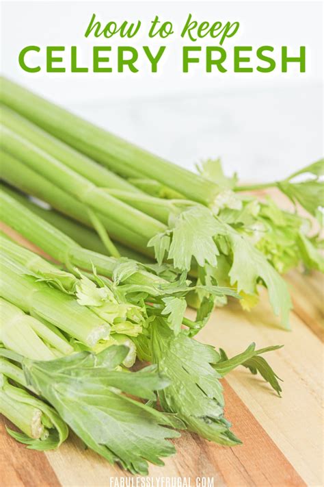 how can i keep celery fresh