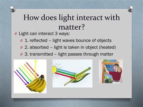 How Can Light Energy Interact With Objects