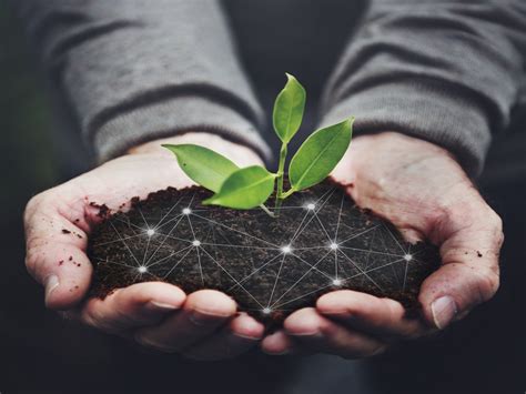 how can technology help solve environmental problems