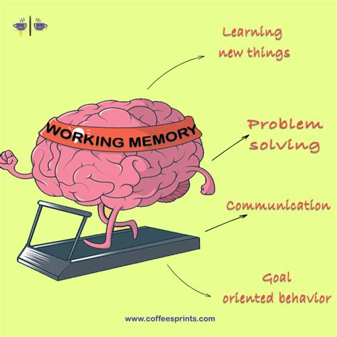 how can the working memory model be improved
