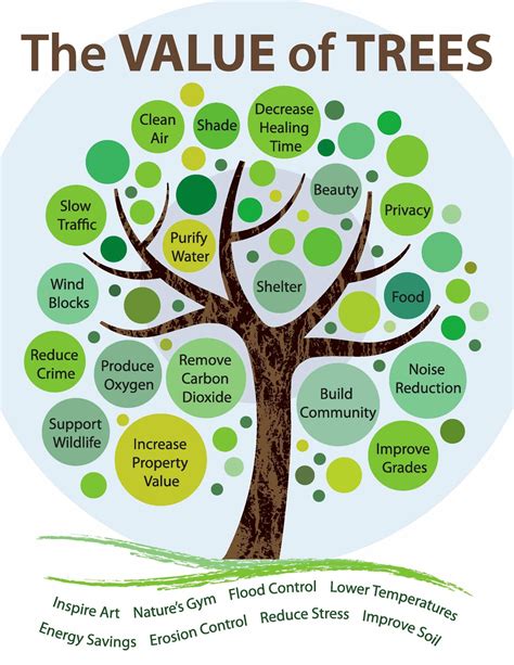 How Can We Help The Trees