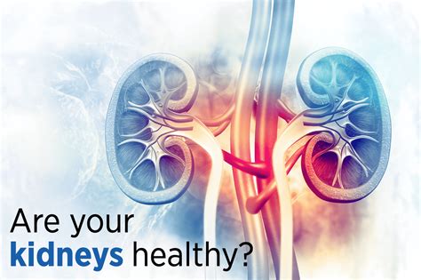how can you tell if your kidneys are healthy