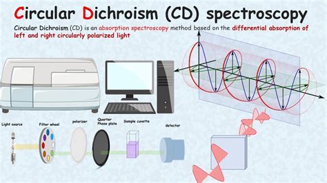 How Circular Dichroism Works