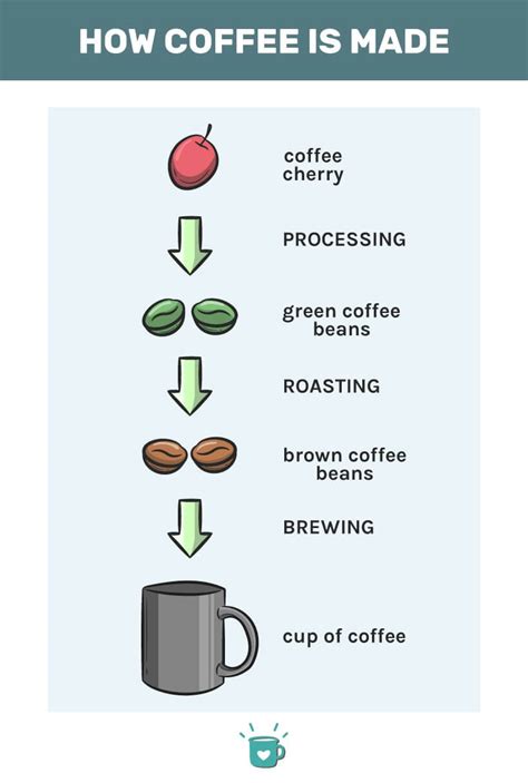 How Coffee Made