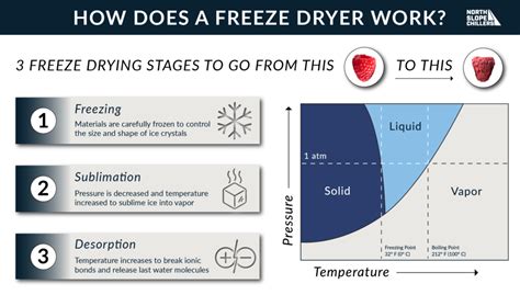 How Cold Does A Freeze Dryer Get