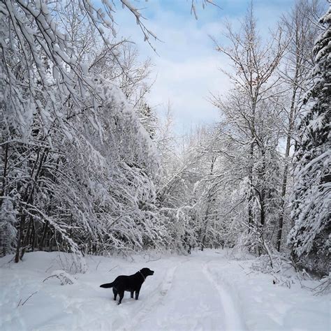 how cold does it get in marquette mi
