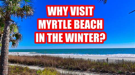 how cold does it get in myrtle beach in the winter