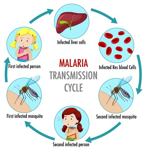 how common is malaria