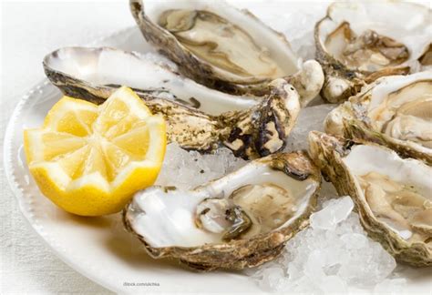 how common is vibrio in oysters