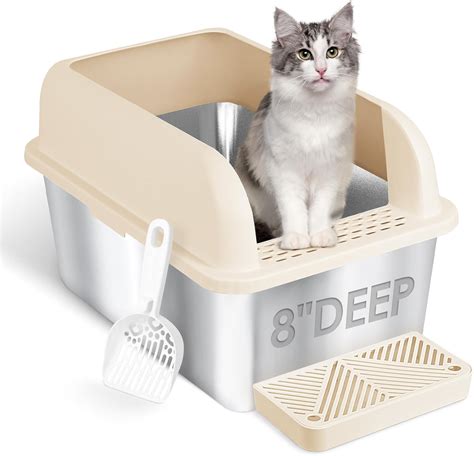 How Deep For Cat Litter