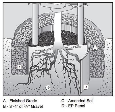 How Deep Should A Tree Root Barrier Be
