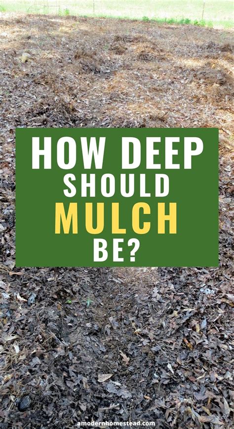 How Deep Should Mulch Be