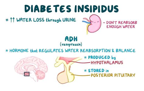 how diabetes insipidus may arise