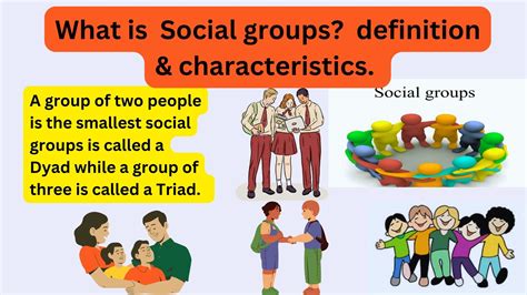how did different social groups participate in the cdm explain with examples