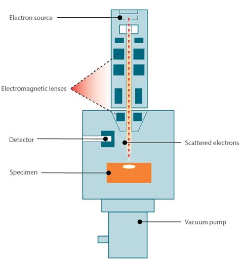 How Did Electron Microscopes Work