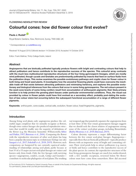 How Did Flower Colour Evolve