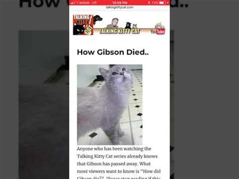 how did gibson die