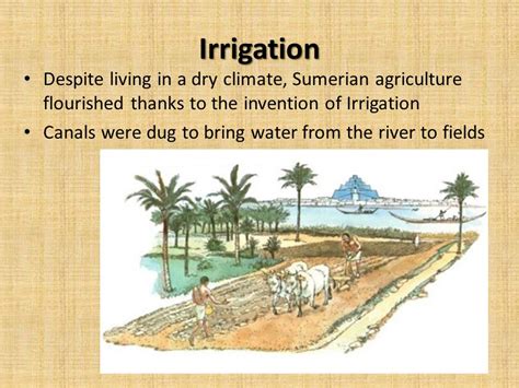 how did irrigation affect sumer