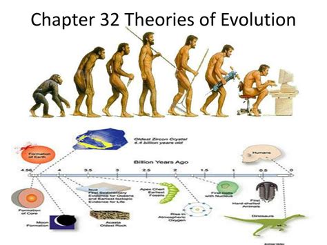 how did the theory of evolution change over time