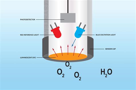 How Dissolved Oxygen Sensors Work